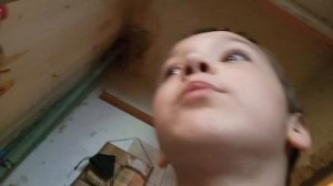 показываю свой дом сегодня надеюсь завтра квартира изменится