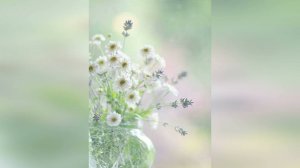 Кельтская флейта, арфа и эрху. Музыка Шри Чинмоя