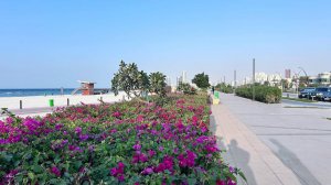 Наш размеренно   пляжный день в Шардже 😀