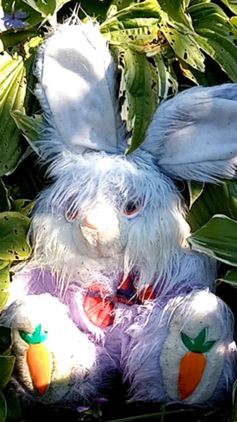 Две мягкие игрушки смотреть онлайн