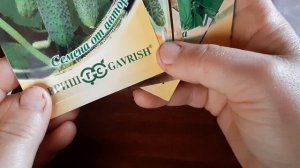 Обзор семян на 2026 год