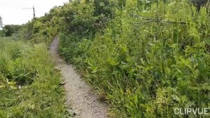 ПУСТЬ ЕЩЁ ПОБУДЕТ ЛЕТО🌞🌴🏄🎇!