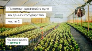Питомник растений с нуля | моя история оформления соцконтракта | бизнес-план