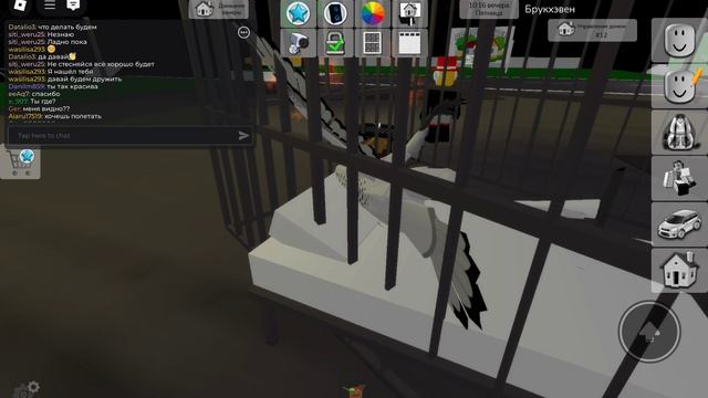 Я сова короткое видео