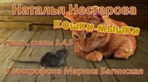Аудиокнига Наталья Нестерова _Кошки-мышки_ Роман 3-5 части У микрофона  Марина Багинская