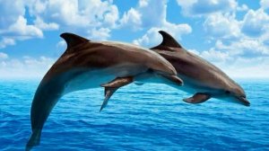 ОЧЕНЬ КРАСИВАЯ МУЗЫКА ДЛЯ РАССЛАБЛЕНИЯ ДУШИ. УСПОКАИВАЮЩИЕ МЕЛОДИИ ДЛЯ СНА