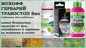 Мохофф и Травостоп- самые безопасные и быстродействующие средства от мха, лишайников и сорняков