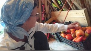 Видео привет с 6 соток 25 августа 2025 года.