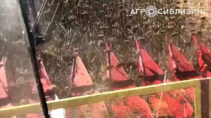 ЖАТКА ДЛЯ УБОРКИ ПОДСОЛНЕЧНИКА  РЯДКОВАЯ НАШ- 873