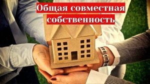 Общая совместная собственность простыми слова.