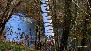 ОСЕННИЙ ПОЦЕЛУЙ