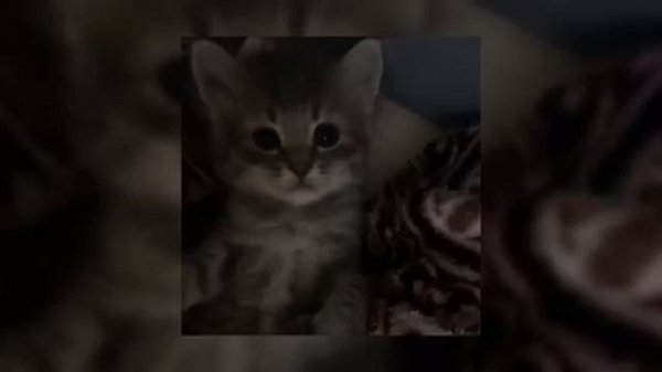 плейлист классных песен ( speed up )