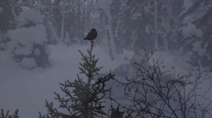 СУДЬБА МЕДВЕДЯ - ДОМУШНИКА.

ОЧЕНЬ ЖАДНАЯ ВОРОВКА. ЗАКРЫВАЮ

КАПКАНЫ