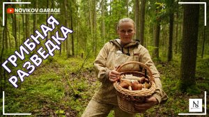 Грибная разведка 25 августа 2025. Всеволожский район.