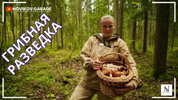 Грибная разведка 25 августа 2025. Всеволожский район.