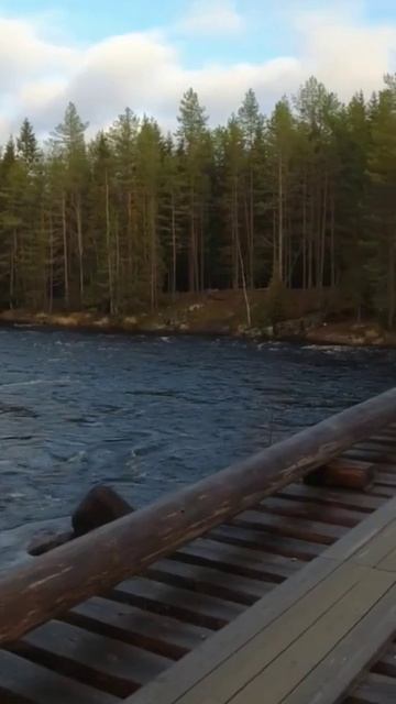 #shorts #карелия #нива #нива4х4 смотреть онлайн