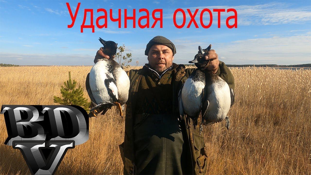 Удачная Охота Гоголь 4K