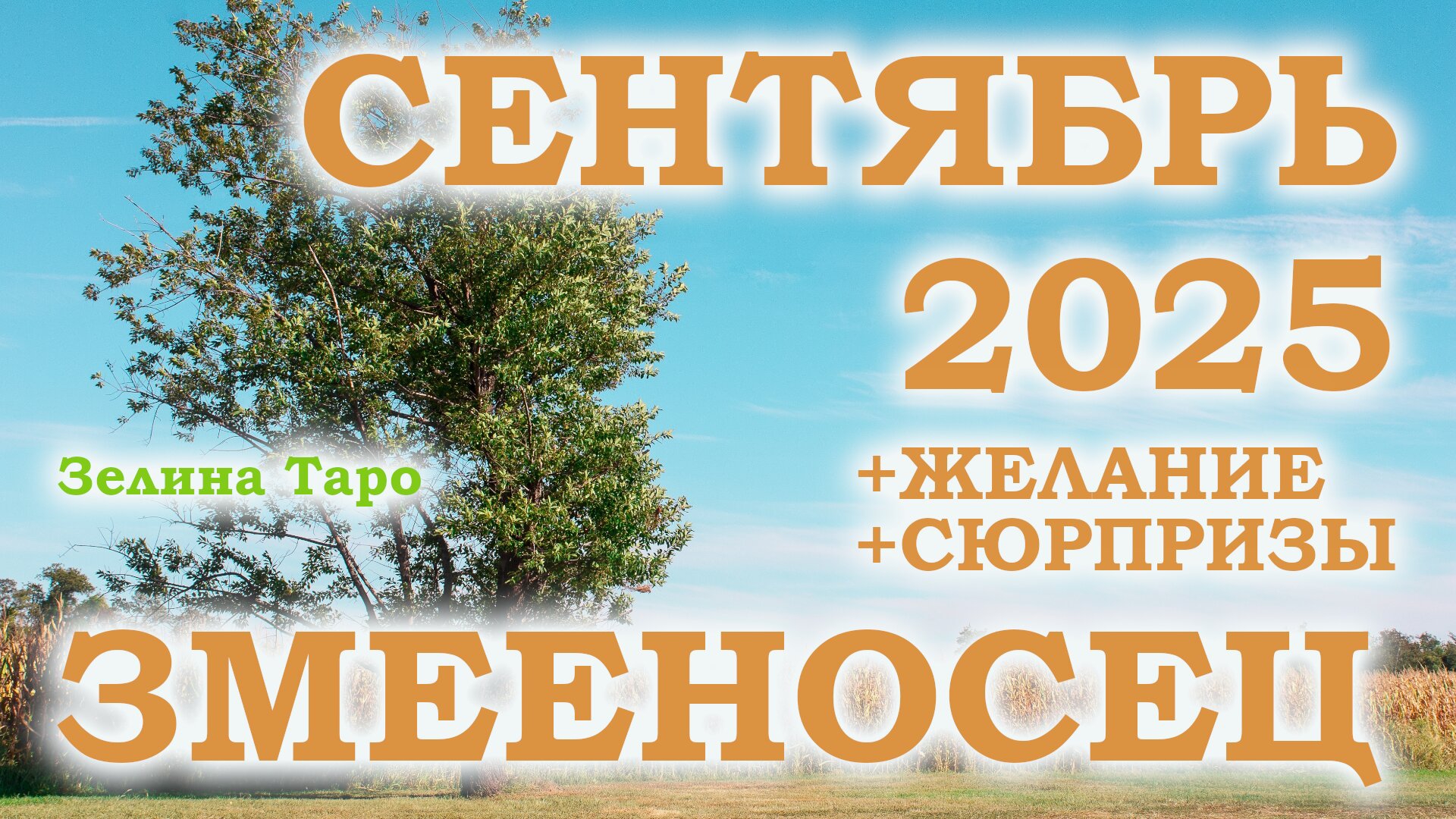 ЗМЕЕНОСЕЦ | ТАРО прогноз на СЕНТЯБРЬ 2025 года | Желание | Сюрпризы | Расклад таро