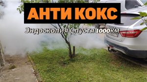 Пенная Раскоксовка! Результат спустя 1000км ?!