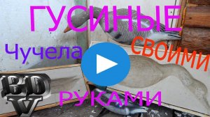 Гусиные чучела своими руками ч1
