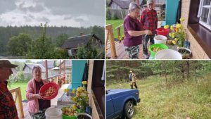 ДОЖДЬ ЧУТЬ НЕ ИСПОРТИЛ НАШИ ПЛАНЫ. ПОЕХАЛИ В ЛЕС, НАБРАЛИ МАСЛЯТ И РЫЖИКОВ.