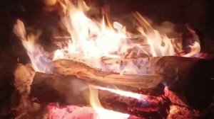 Сказочная рыбалка !