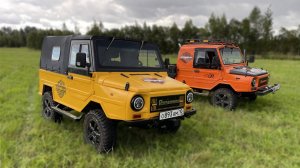 Двойной обзор! Сравнение Луазов Рыжика и Цыплёнка.