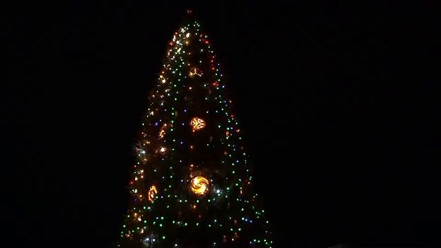 Саратовская ёлочка! смотреть онлайн