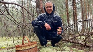 БОРОВИКИ ПОШЛИ! Грибы в августе 2025