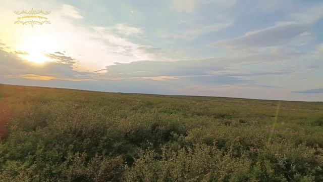 Воркута. 25.08.25. Песчанка и сбор урожая!!!! смотреть онлайн