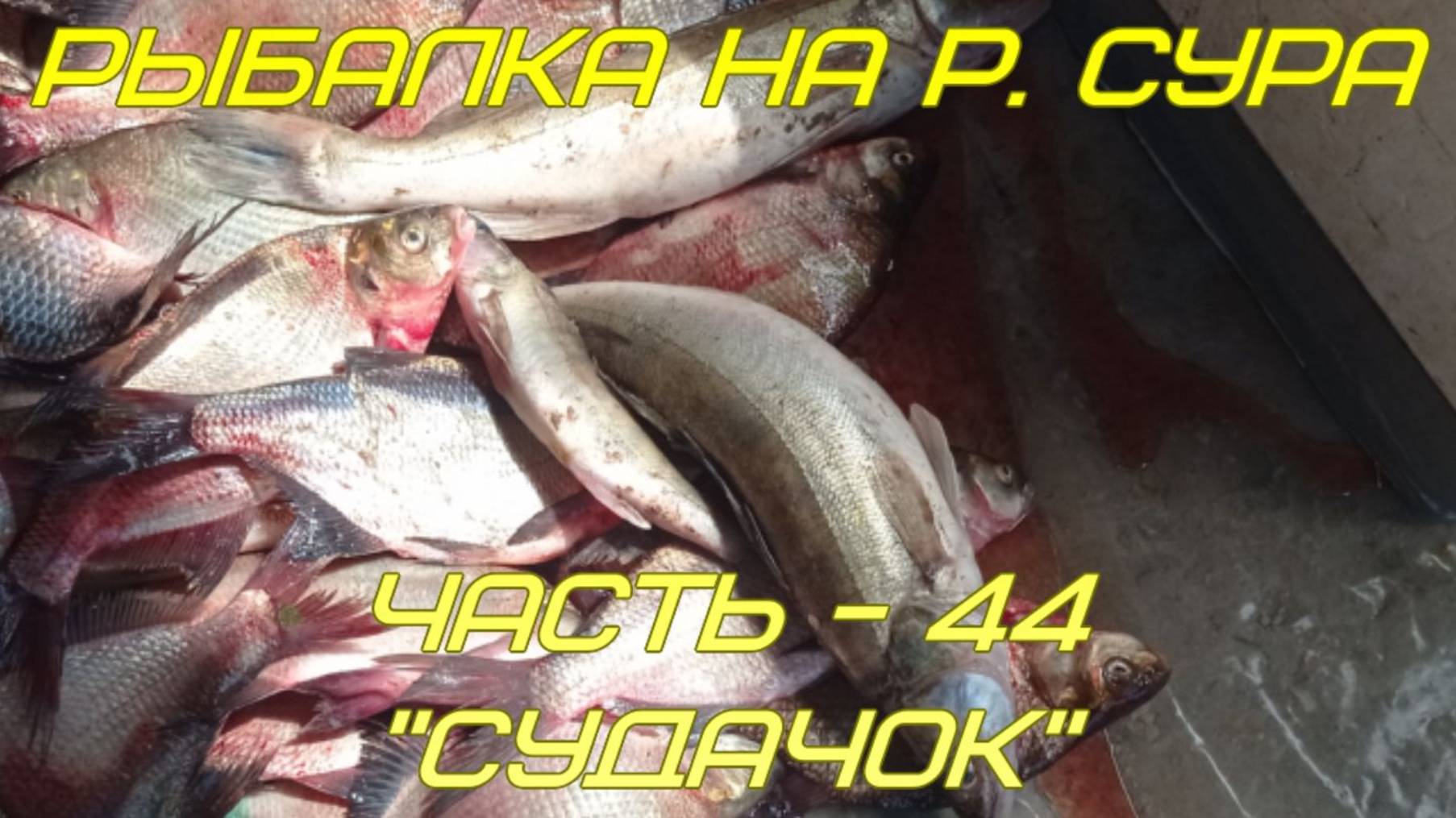 Рыбалка на р. Сура. Часть - 44. "Судачок". смотреть онлайн