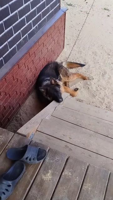 Я иду) смотреть онлайн