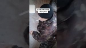 г. Мариупольские #красные дедовские голуби ещё сохранены#