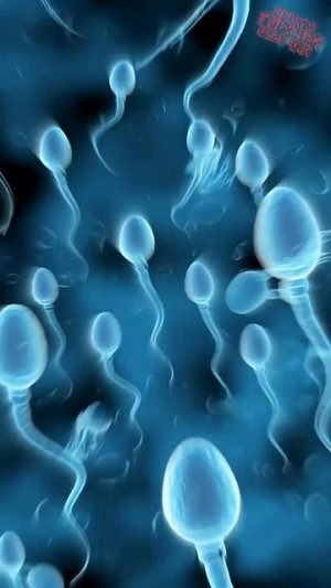 Те парни, которые всегда ходят в бейсболке