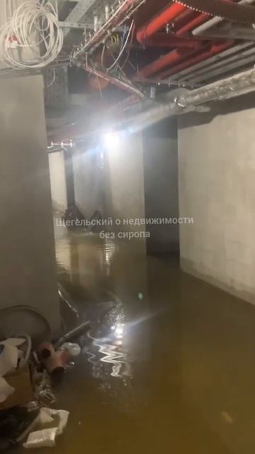 У Самолёта всё течёт дольщики недовольны прокуратура отменяет уголовные дела #недвижимость #самолет смотреть онлайн