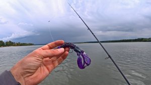 Нашёл Логово Щук и обхитрил МЫШИНОЙ проводкой на спиннинг