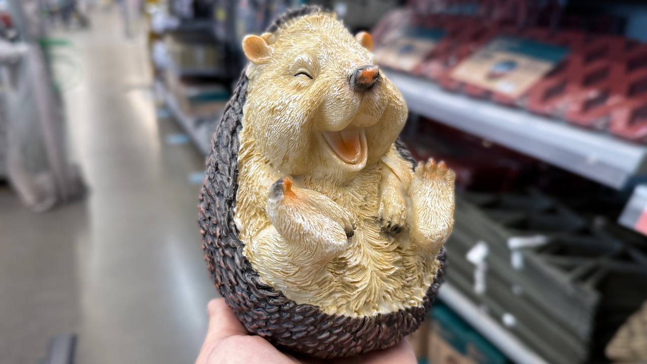 ВАУ ❤️ ПРЕВОСХОДНЫЕ НОВИНКИ К ОСЕНИ В ЛЕНТЕ 😍 Обзор новинок и тематической коллекции к осени 🍁 смотреть онлайн