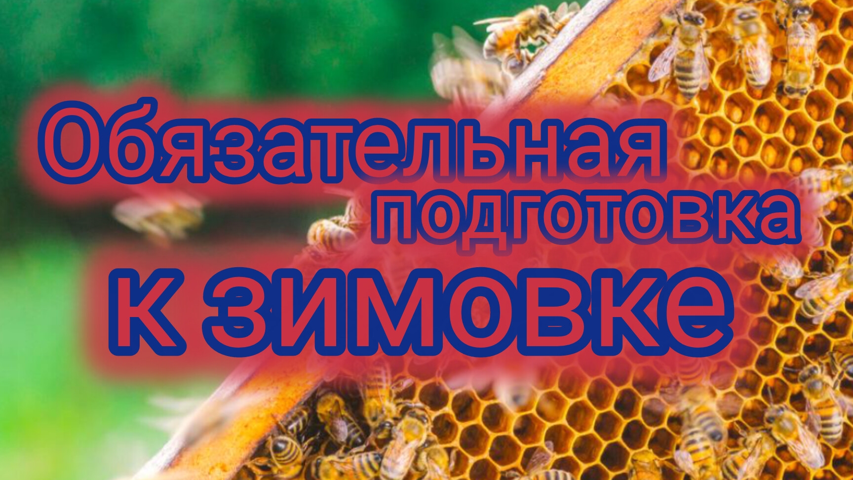 Обязательная подготовка к зимовке 🐝 смотреть онлайн