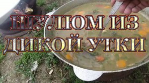 Приготовление шулюма из дикой утки