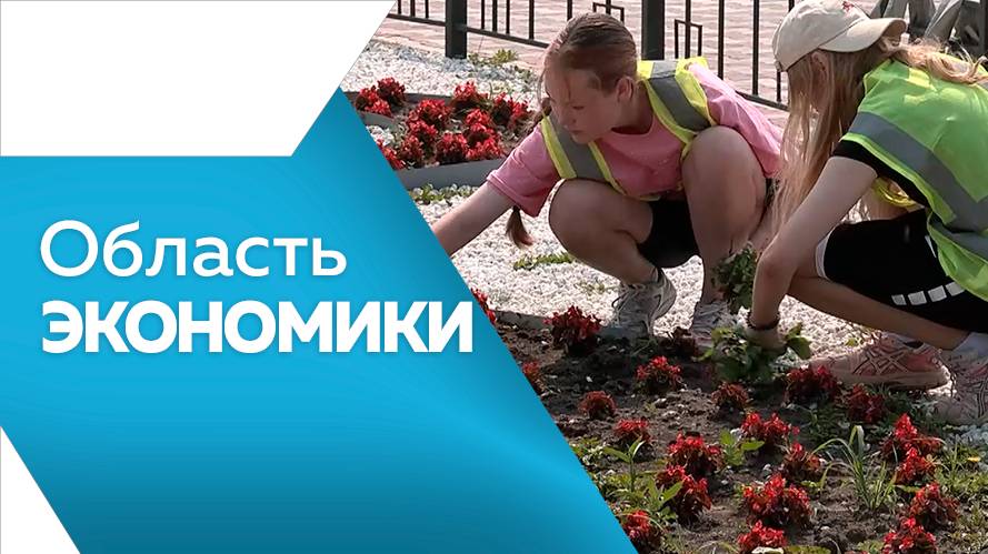 Область экономики 26.08.2025г.