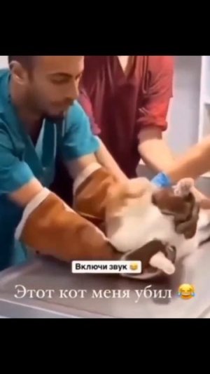 Больно за Лапки держишь!!!!😆😆😆