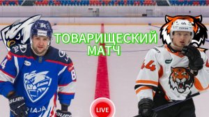 ХОККЕЙ ТОВАРИЩЕСКИЙ МАТЧ.  ЛАДА - АМУР.  ПРЯМАЯ ТРАНСЛЯЦИЯ
