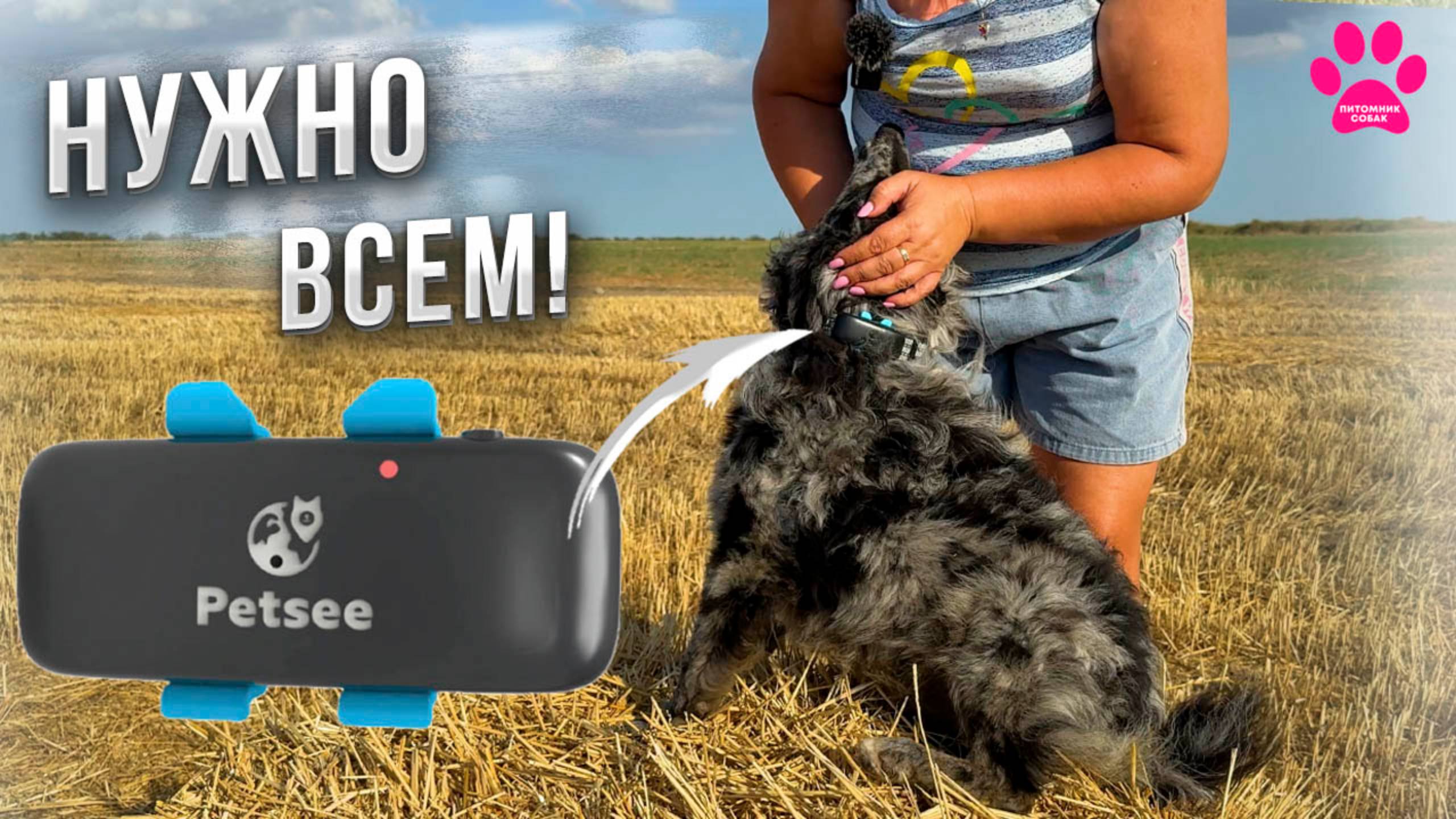 Теперь Вы не потеряете свою собаку! GPS-ошейник(трекер) для собак Petsee. Большая прогулка с Микки. смотреть онлайн