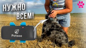 Теперь Вы не потеряете свою собаку! GPS-ошейник(трекер) для собак Petsee. Большая прогулка с Микки.
