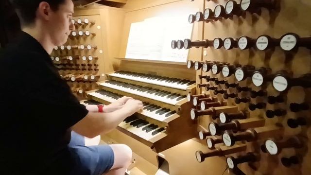 Linzer Mariendom Orgel