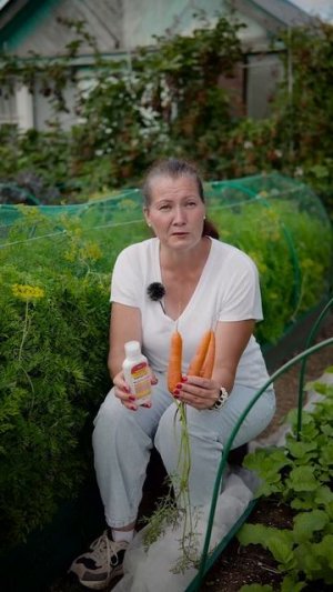 У МОРКОВИ ЖЕЛТЕЕТ БОТВА РАНЬШЕ СРОКА - что делать #дача #морковь #сад