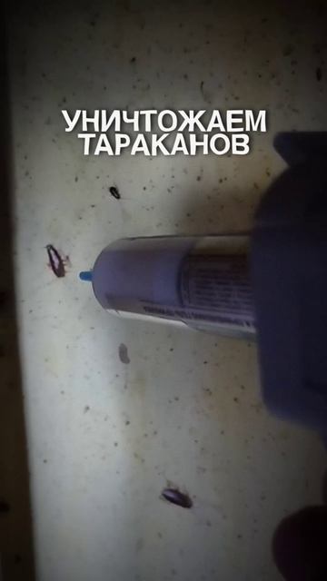 Тараканы, вам крышка!