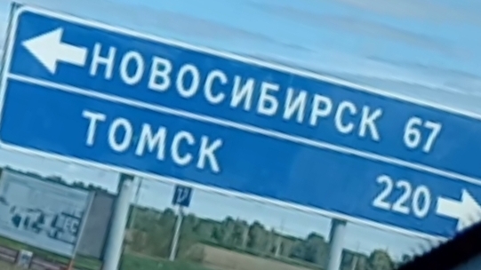 По грибы 🍄