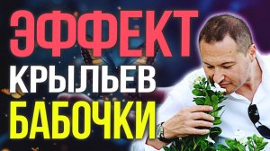 🦋 Ваше маленькое решение сегодня = огромные последствия завтра. Разбор Эффекта Бабочки