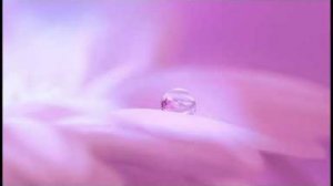 Музыка для медитации от учеников Шри Чинмоя, 2013 г